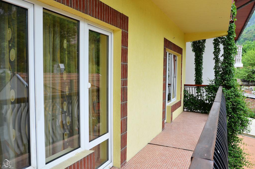 Pensiunea Deea Herkulesfürdő Kültér fotó
